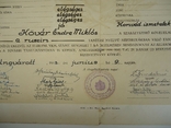 Ужгород диплом 1943 р. закарпатье, фото №3