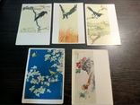 Открытки китайская живопись,5 штук, птицы, фото №2