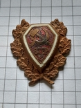 Знак (кокарда) на головной убор "БССР", довоенный, встречается очень редко., photo number 3