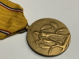 Медаль Службы Обороны США, фото №5
