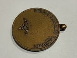 Медаль Штурмових бригад Гарібальді Італія, фото №5