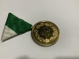 Медаль Австрия, фото №5