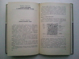 Пошиття виробів, шапок і хутра., фото №6