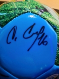 Мяч с автографами Сборной Украины по футболу, фото №11