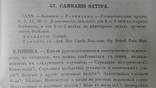 1849 год Фармакология из библиотеки знаменитого гражданина гор. Кривой Рог Катеринослав, фото №11