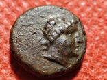 Пантикапей.Лот из 3 монет.Аполлон -горит..Бык-плуг,колос.Перисад 4.Камасарии.2 в.до.н.э., фото №3