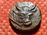 Пантикапей.Лот из 3 монет.Аполлон -горит..Бык-плуг,колос.Перисад 4.Камасарии.2 в.до.н.э., фото №7