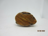 Netsuke, okimono, photo number 7