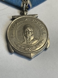 Медаль Ушакова. № 4903 Трофименко. В. Д., фото №6