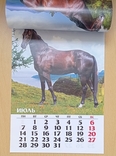 Календар: Лошади. 2014, фото №6