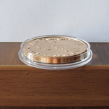 100 гривень 2004 р. Золоті Ворота (PROOF), фото №9