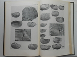 1972 г. Ю.Б. Гладенков Неоген Камчатки Палеоэкология 248 стр. Тираж 900 экз. (1393), фото №2