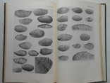 1972 г. Ю.Б. Гладенков Неоген Камчатки Палеоэкология 248 стр. Тираж 900 экз. (1393), фото №4
