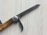 Folding knife, pads - deer antler, with blade lock., photo number 8