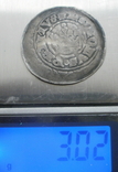 Пражский грош, Карл І (1346-1378 гг.), фото №8