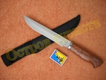Нож туристический Альбатрос сталь 65х13 (31.5см), photo number 3