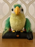Игрушка говорящий попугай(повторяющая слова), фото №4
