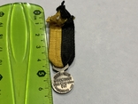 Медаль День Франко-Бельгийского Союза миниатюра Бельгия, фото №6
