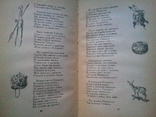 The Song of Hiawatha. Longfellow, Henry. 1956, photo number 5