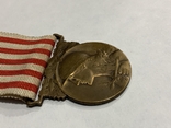 Пам'ятна Медаль Війни 1914-1918 Франція, фото №4