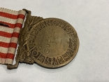 Пам'ятна Медаль Війни 1914-1918 Франція, фото №8