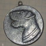 Эрдельтерьер медаль, фото №3