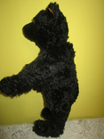 Bear with hump and growl Steiff Black Classic Teddy Bear 46cm Germany, photo number 6