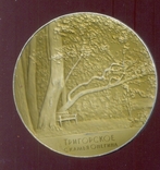 Медаль А.С.Пушкин ЛМД, фото №3