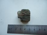 Fragment of petrified wood., photo number 2