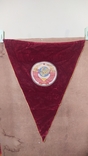 Pennant to the Winner in the All-Union Socialist Competition in 1977. Velvet, photo number 4