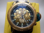 Годинник Invicta R. Diver Swiss Made Eta G10.212, фото №2