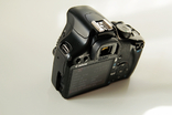 Canon 450D + Индустар 61 л/з, фото №8