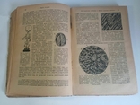 Fundamentals of Pathological Anatomy, 1931, photo number 2