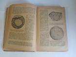 Fundamentals of Pathological Anatomy, 1931, photo number 8