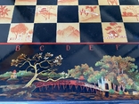 Шахматы с нардами Въетнам 60-е, photo number 5