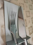 Набор нож и вилка для мяса Zepter, фото №4