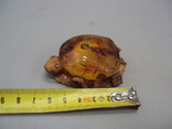 Фигура миниатюра статуэтка черепаха на листке янтарь кость мамонта черепашка и лист, фото №5