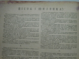 1931 р. Журнал Глобус № 2 Київський журнал на рідній мові 18 стор. Тираж? (991), фото №12