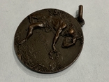 Медаль Мілан 1921 рік Італія, фото №3