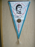 Pennant "Champion of the USSR in 1986 V. Yevtushenko"., photo number 2