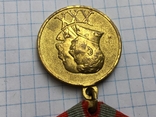 Медаль 30 лет САиФ см. видео обзор, фото №4