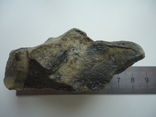 Flint with an imprint of an ancient shell., photo number 6