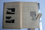 Учебник массажа ( массаж ) та Гімнастика 1898, фото №4