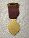 Masonic Medal 1957, photo number 3