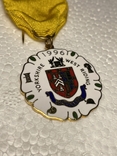 Masonic Medal 1996, photo number 4