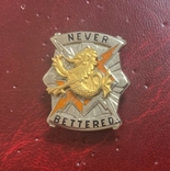 U.S. Army 78th Signal Battalion Regimental Badge, photo number 2