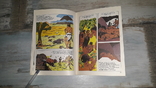 History of mankind in pictures. Caveman. 1992 . Comic. Comics., photo number 13