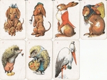 Карточки детские игральные (неполная колода,31+1 лист)Германия, фото №4