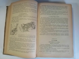 Textbook of Private Surgery, S. Girgolab, 1940, photo number 8