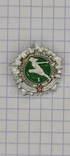 Badge Ready for Labor and Defense of the USSR of the 1st degree., photo number 2